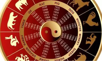 Zodiac chinezesc: vineri, 23 aprilie 2021. Schimbări majore pentru o zodie