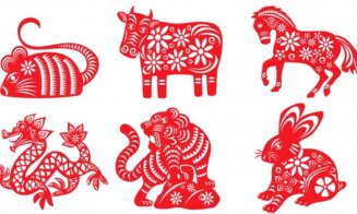 Zodiac chinezesc pentru MIERCURI, 26 mai . Ce nativ va avea nevoie de răbdare astăzi