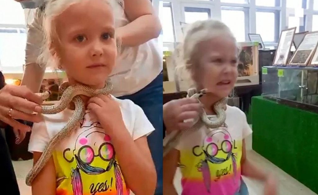 Fetiță de 5 ani, mușcată de un șarpe veninos la o grădină zoologică. Care este starea ei