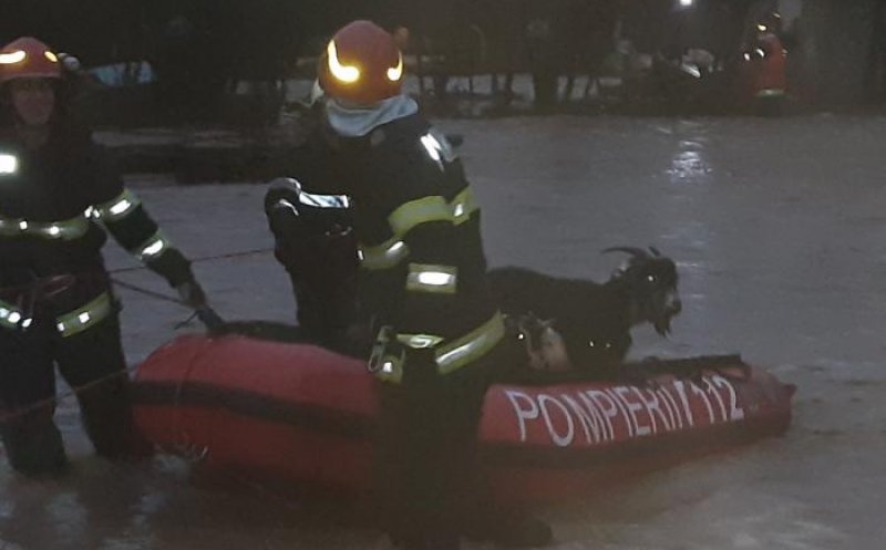 Potop într-un judeţ din România, din cauza codului roșu de ploi. Animale luate de viitură, zeci de case inundate
