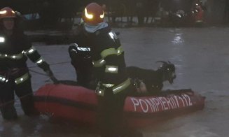 Potop într-un judeţ din România, din cauza codului roșu de ploi. Animale luate de viitură, zeci de case inundate