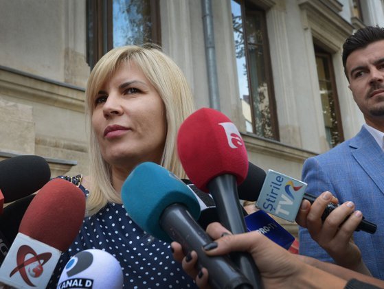 Elena Udrea s-a îmbolnăvit de COVID cu o zi înainte de termenul în dosarul său