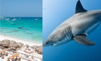 Cine e, de fapt, românca ucisă de rechin în Egipt? Detalii cutremurătoare despre incident