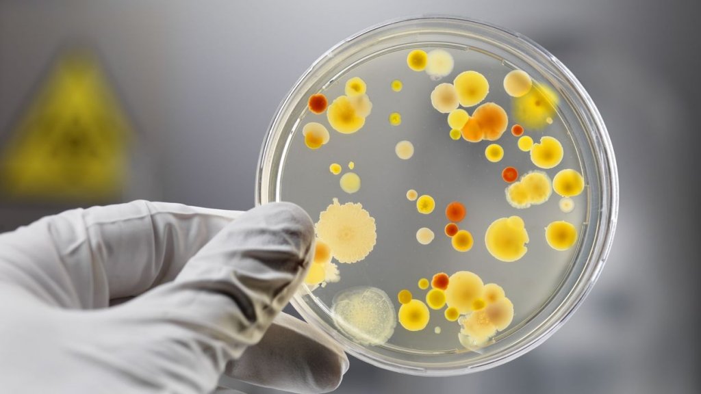O nouă bacterie „mâncătoare de carne” face ravagii. Bilanț teribil: 29 de cazuri și patru decese!
