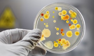 O nouă bacterie „mâncătoare de carne” face ravagii. Bilanț teribil: 29 de cazuri și patru decese!