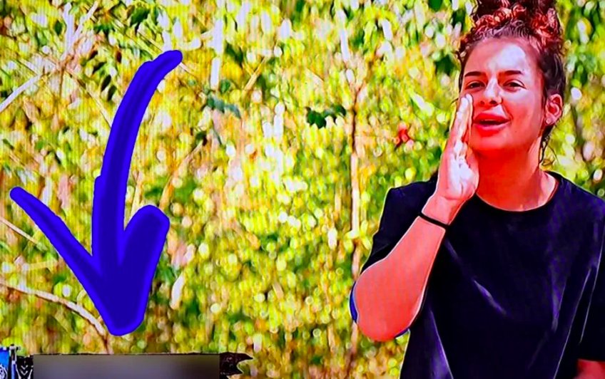Eroare colosală pe burtiera de la ProTV! Cum a fost prezentată Oana Ciocan, concurentă Survivor