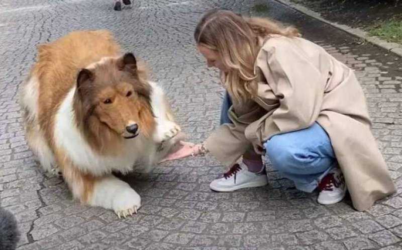 Cum arată omul care a plătit o avere ca se se transforme în câine