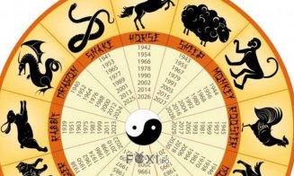 Zodiac chinezesc pentru marți, 29 august 2023. Ce zodiac va fi în culmea fericirii