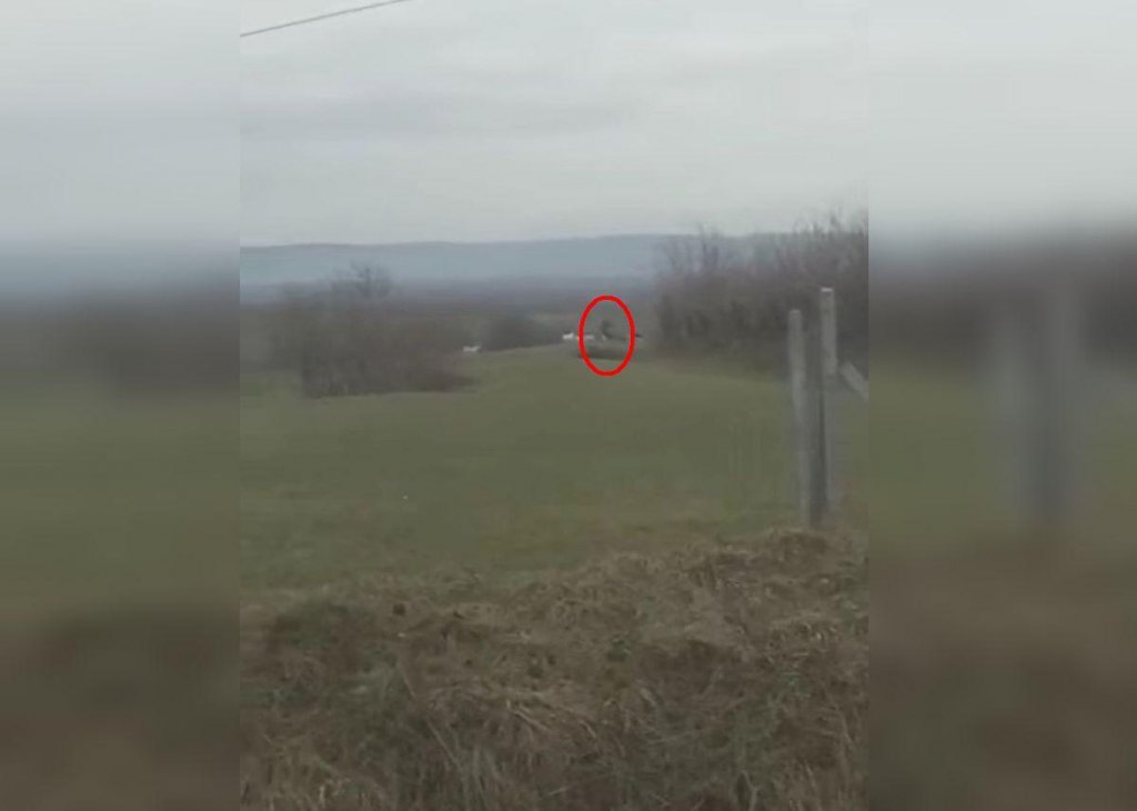 Bărbat atacat de 12 câini de stână, salvat în ultima clipă de la moarte. ”Putea fi mai rău”