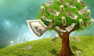 Ce copac să plantezi în curte, în aprilie 2024, ca să ai noroc și bogăție în viață
