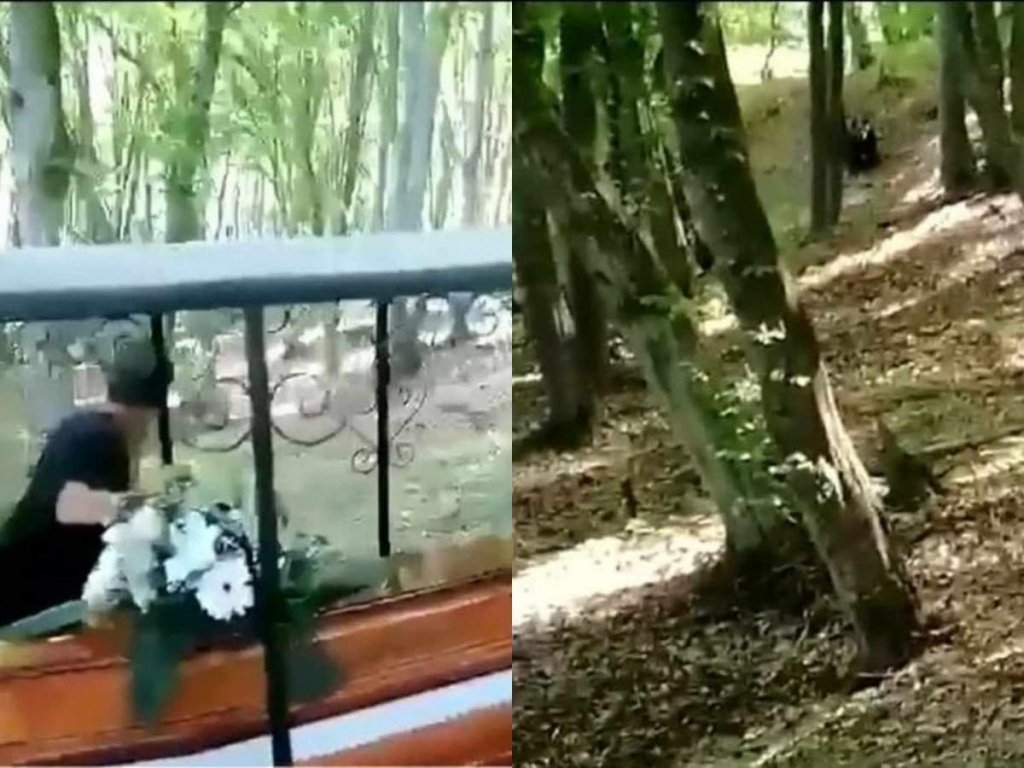 Scene șocante în Mureș! Un cortegiu funerar a fost alergat de un urs, în apropierea unei păduri. Oamenii au fugit și au lăsat sicriul