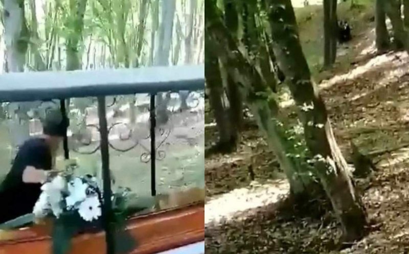 Scene șocante în Mureș! Un cortegiu funerar a fost alergat de un urs, în apropierea unei păduri. Oamenii au fugit și au lăsat sicriul