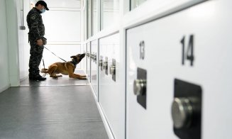 Câini special antrenaţi pentru detectarea persoanelor cu virusul Covid-19
