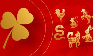 Zodiacul chinezesc pentru august 2024. Cinci zodii care au mare noroc în perioada următoare