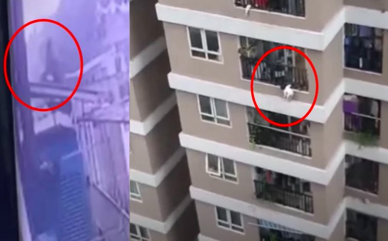 O fetiță a căzut de la etajul 12. Ce s-a întâmplat când a ajuns jos a fost un miracol divin