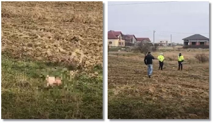 Un bebeluș a fost găsit mort pe un câmp. Mama este căutată de polițiști și acuzată de pruncucidere